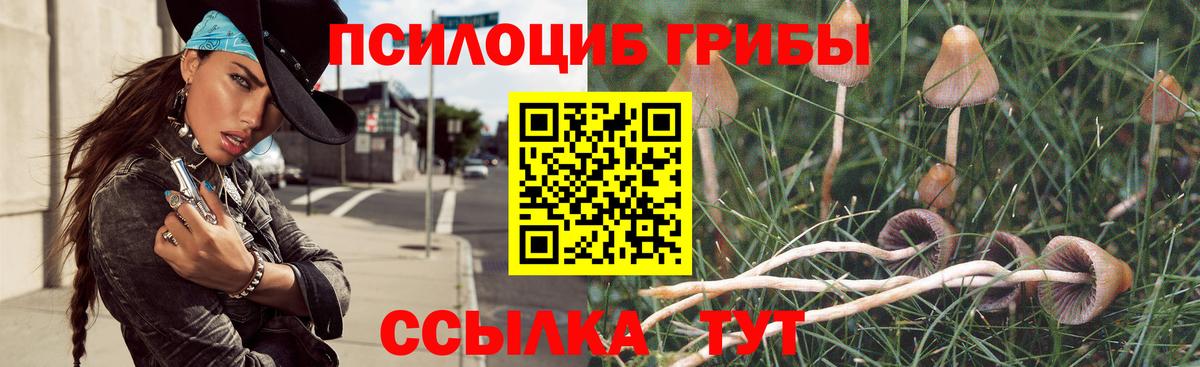 Псилоцибиновые грибы Psilocybe  Галлюциногенные грибы мицелий  Владикавказ  Вход с VPN 